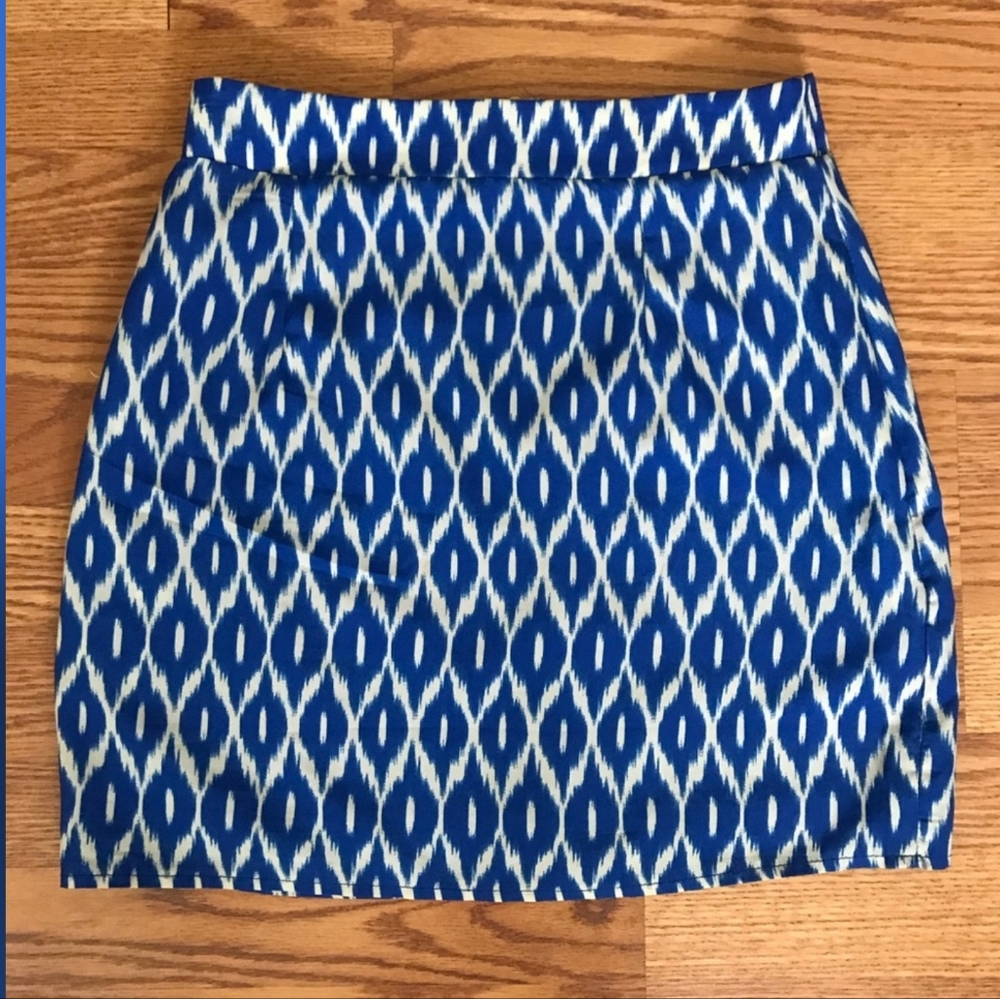 Francesca's skirt